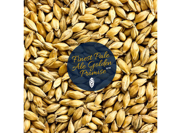 Golden Promise