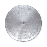 Grainfather G40 Grain Plate 
