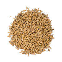 Caramel Munich II Bestmalz 110-130 EBC 1 kg Hel