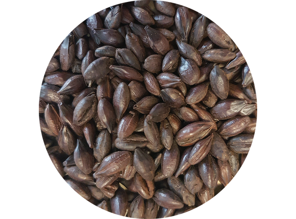 Crisp Amber Malt, 25 kg