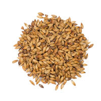 Crisp Brown Malt, 25 kg Crisp kornmalt, helsäck