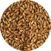 Crisp Cara Malt - 25 kg 25-35 EBC, helsäck