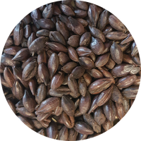 Crisp Rosted Barley, 25 kg 1200-1500 EBC, helsäck