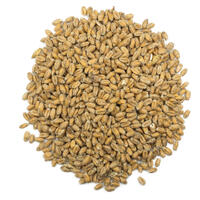 Best - Wheat Malt 1 kg - Hel
