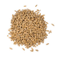 Barke pilsnermalt 1 kg hel 2.5 – 4.5 EBC - Weyermann