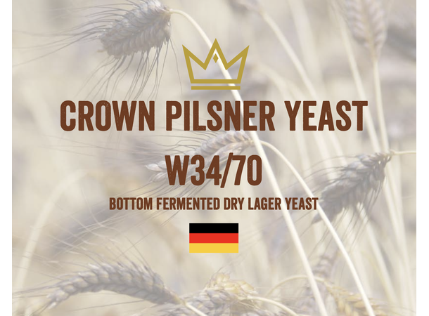 Crown 34/70 500 g.