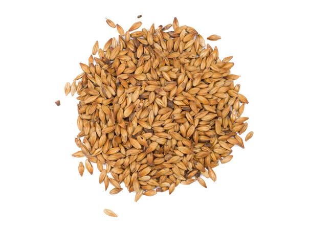 Briess Victory Malt 22,68 kg