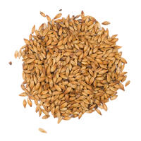 Briess Victory Malt 22,68 kg Briess kornmalt, helsäck