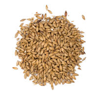 Cara Malt, Crisp 25-35  EBC 25 kg hel