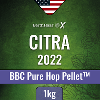 Citra BBC 2022 1 kg 13% alfasyra