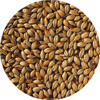 Amber malt, Crisp 70 EBC 1 kg hel