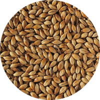 Crisp Crystal 100 Malt, 25 kg 100-120 EB, helsäck