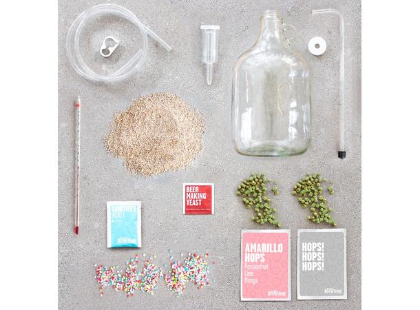 Startkit - BrewDog Elvis Juice KUN SE 