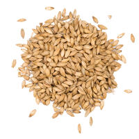 Bokrökt kornmalt 1 kg hel 4.0 – 8.0 EBC - Weyermann