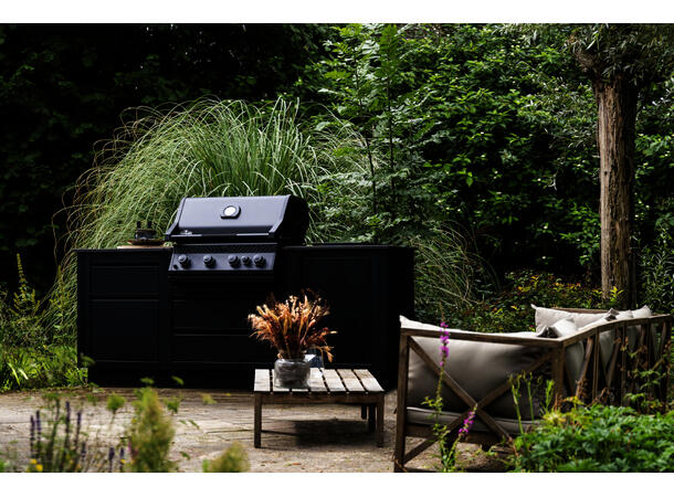 Napoleon BIR32 Inbyggnadsgrill