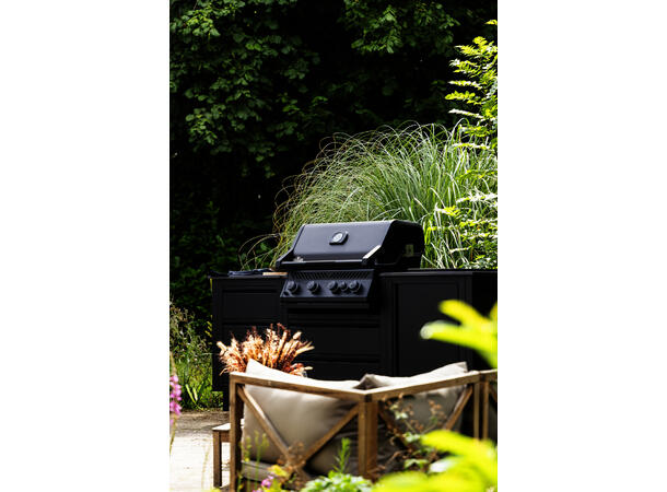 Napoleon BIR32 Inbyggnadsgrill