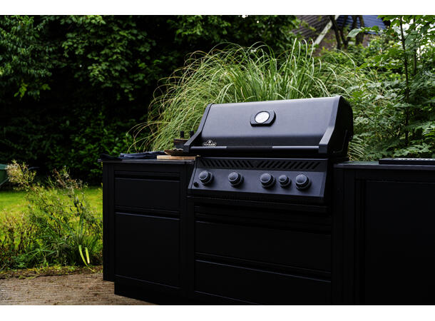 Napoleon BIR32 Inbyggnadsgrill