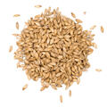 Smoked Cherry Malt 1 kg krossad Max 10 EBC - Viking