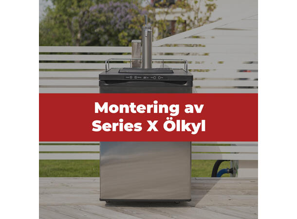Montering av series x
