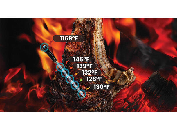 MeatStick 5