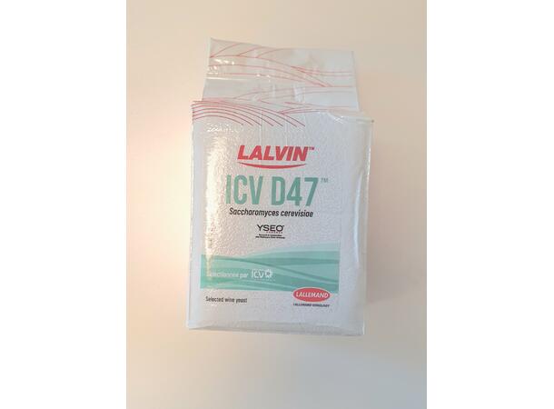 Lavin ICV D47™ – Jäst för vita viner med citrus- och blomtoner