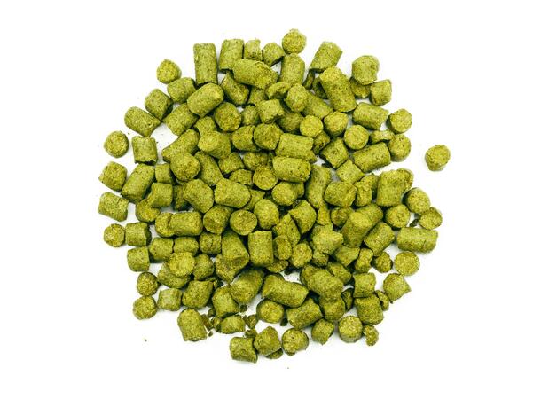 Saaz 2023 100g 3,1% alfasyre