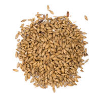 Viking Pilsner malt 1 Kg  Knust Färdigpackad påse - NO