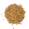 Dingemans Special B 1 kg hel 300 EBC - Dingemans