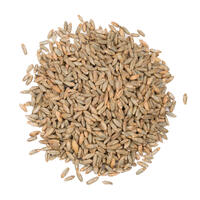 Dingemans Rågmalt 1 kg hel 7 EBC - Dingemans