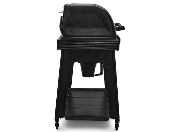 Traeger Woodridge pro