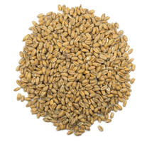 Dingemans Vetemalt 1 kg hel 3 EBC - Dingemans