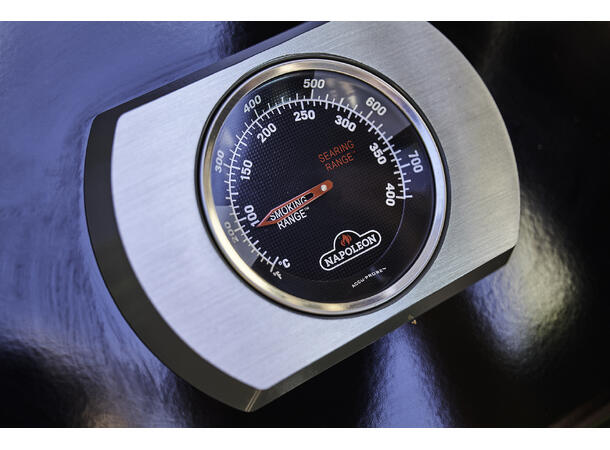Napoleon Freestyle Pro 425
