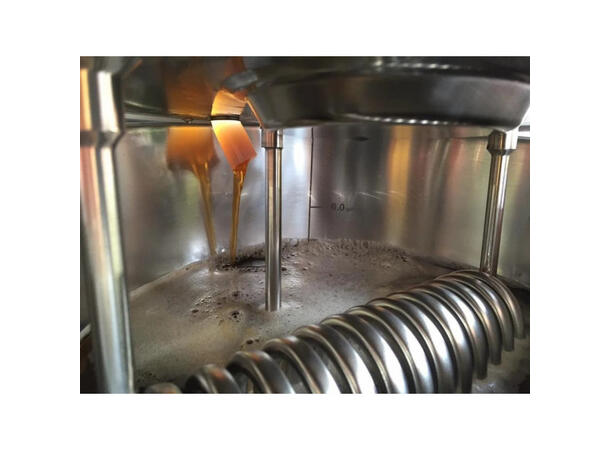 Ss Brewtech FTSs Tempstyrning till Brewmaster Bucket 53 L 
