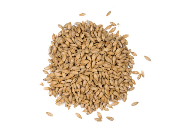 Dingemans Biscuit Malt
