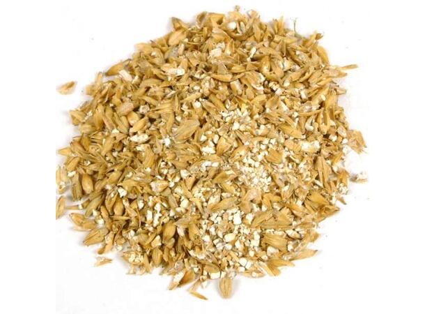 Dingemans Special B malt